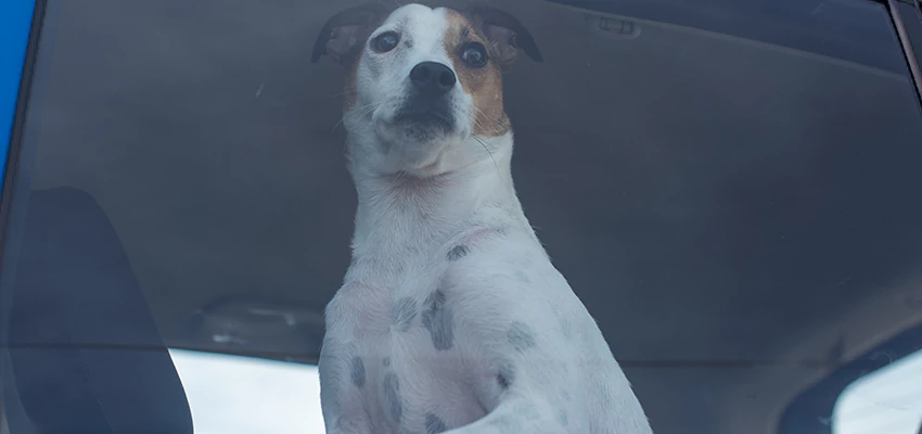 Car Lockout Solutions in Paramount, California